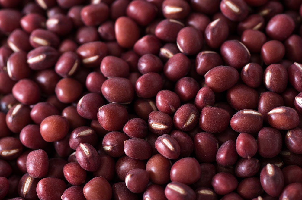 丹波红小豆1000.jpg