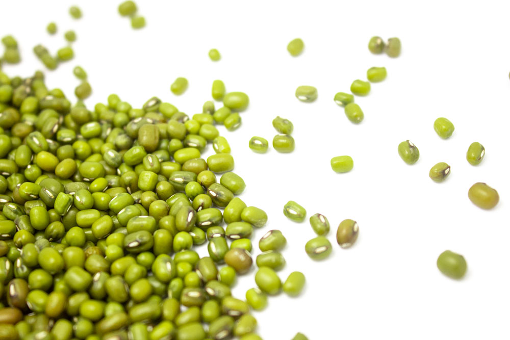 绿豆1000.jpg