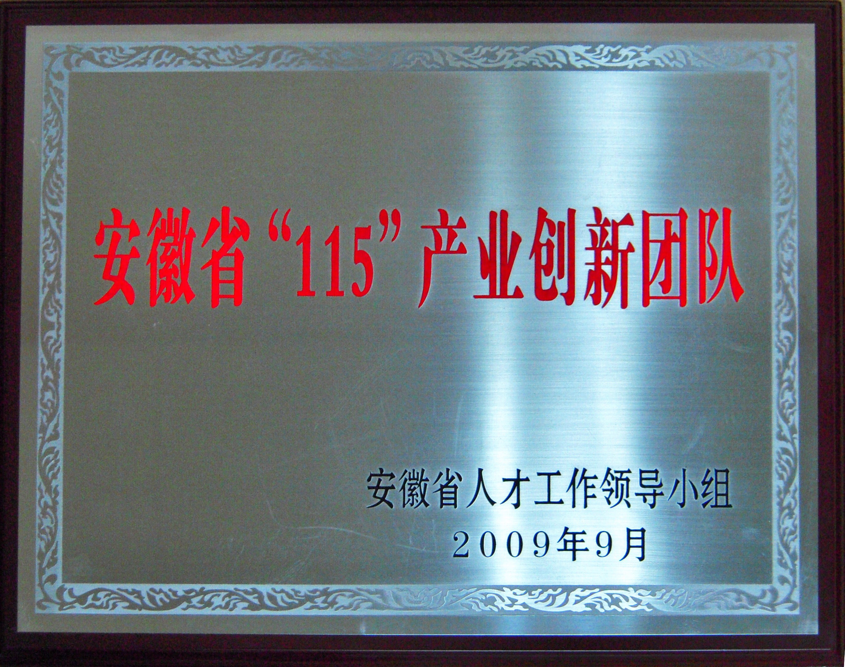 16--安徽省“115”产业创新团队 2009.09.JPG