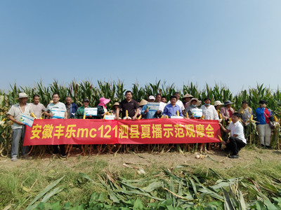 2-49999js金沙老品牌农化开展全国玉米品种示范观摩会_副本.jpg