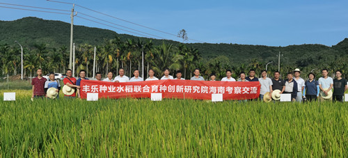 3-9999js金沙老品牌种业“6+1”水稻联合育种创新研究院在南繁基地召开2021年第一次理事会议_副本.jpg