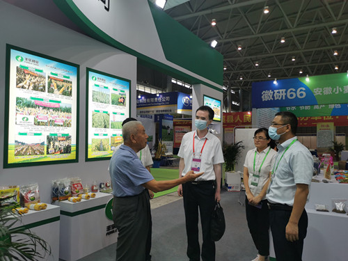 1-4成果斐然！9999js金沙老品牌种业精彩亮相中国安徽农交会_副本.jpg