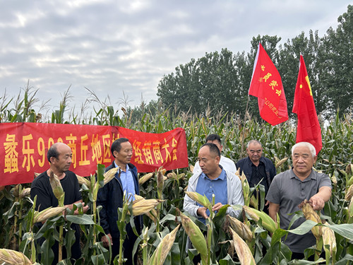 头雁领飞 赋能高质量发展_副本.jpg