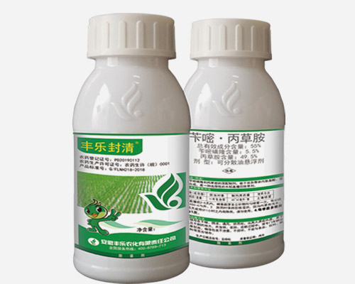 9999js金沙老品牌封清